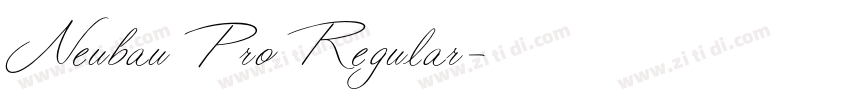 Neubau Pro Regular字体转换